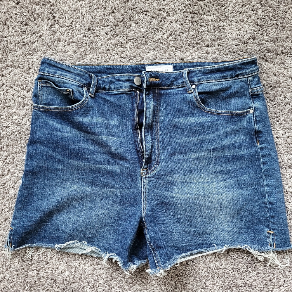 Risen Jeans Jean Shorts 3X "20"